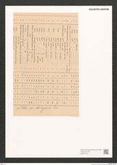 Diatomeae indet. Zeichnungen Sammlung Grunow (NHMW-BOT-W0371416)
